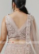 Net Choli Suit In Light Peach